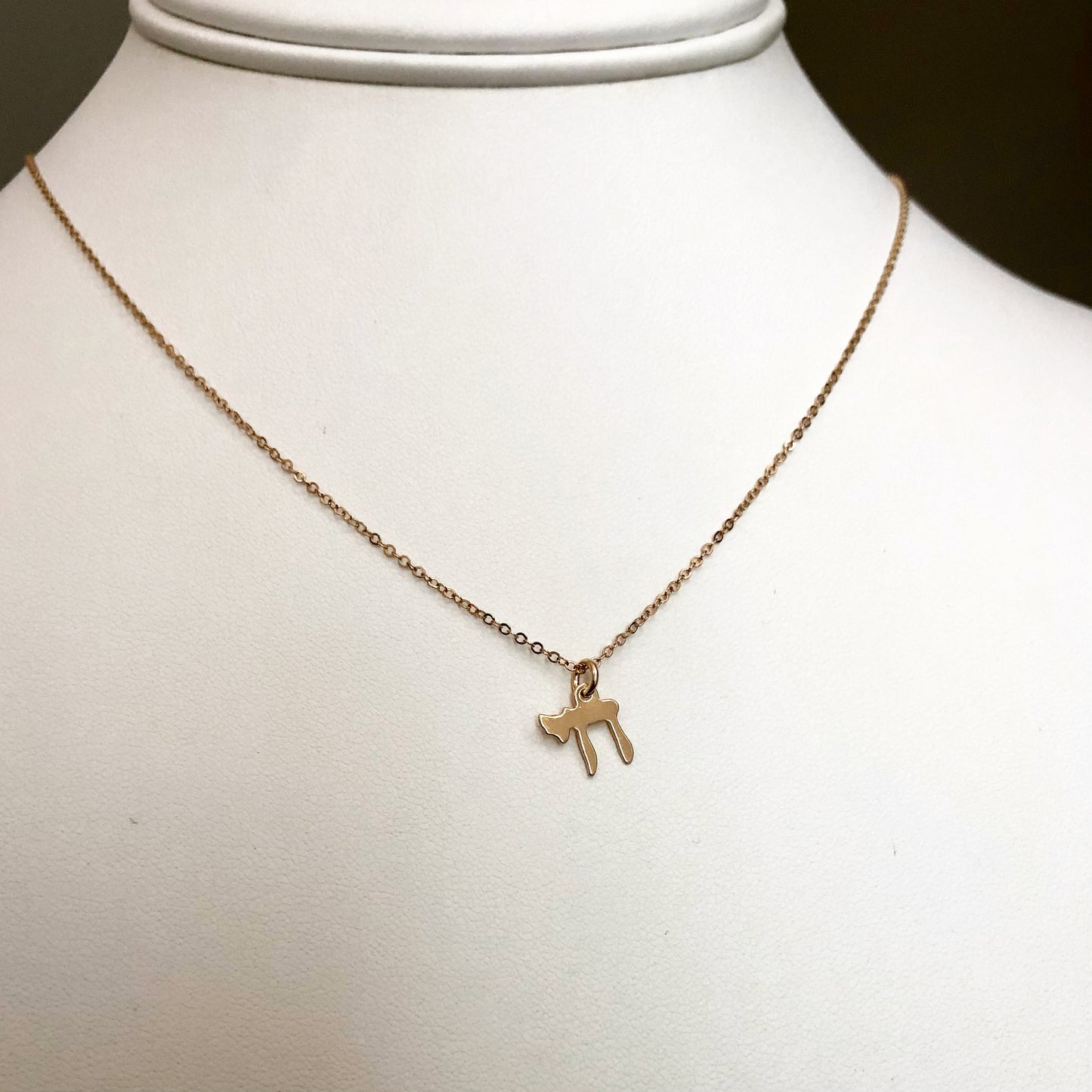 Dainty Chai Necklace